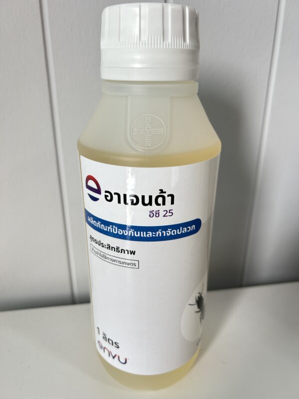 อาเจนด้า อีซี25